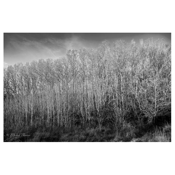 PHOTO84, CLUB, 84 , LUBERON